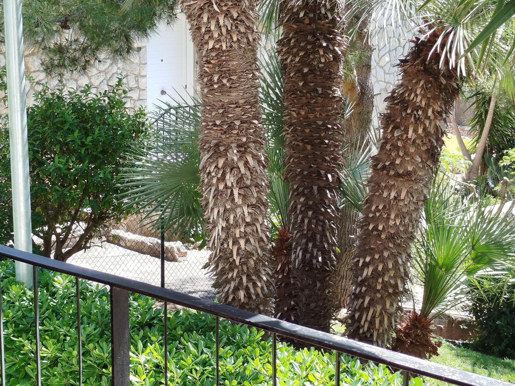 Apartamento Brisa Del Mar Salou Exterior foto